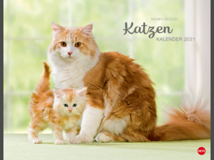 Monika Wegler Katzenkalender 2021