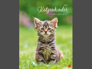 Katzenkinder Posterkalender 2021