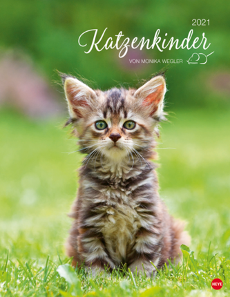 Katzenkinder Posterkalender 2021