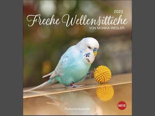 Freche Wellensittiche Postkartenkalender 2022