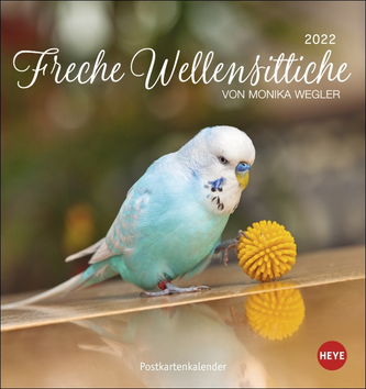 Freche Wellensittiche Postkartenkalender 2022