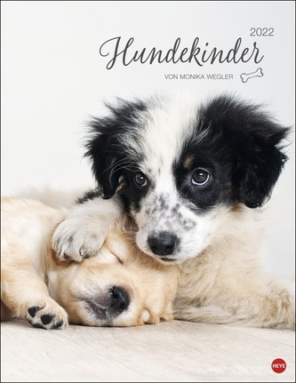 Hundekinder Posterkalender 2022
