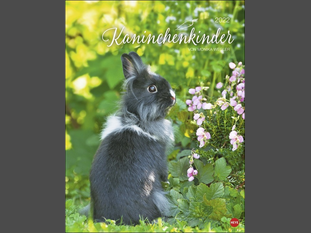 Kaninchenkinder Posterkalender 2022