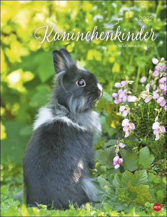 Kaninchenkinder Posterkalender 2022