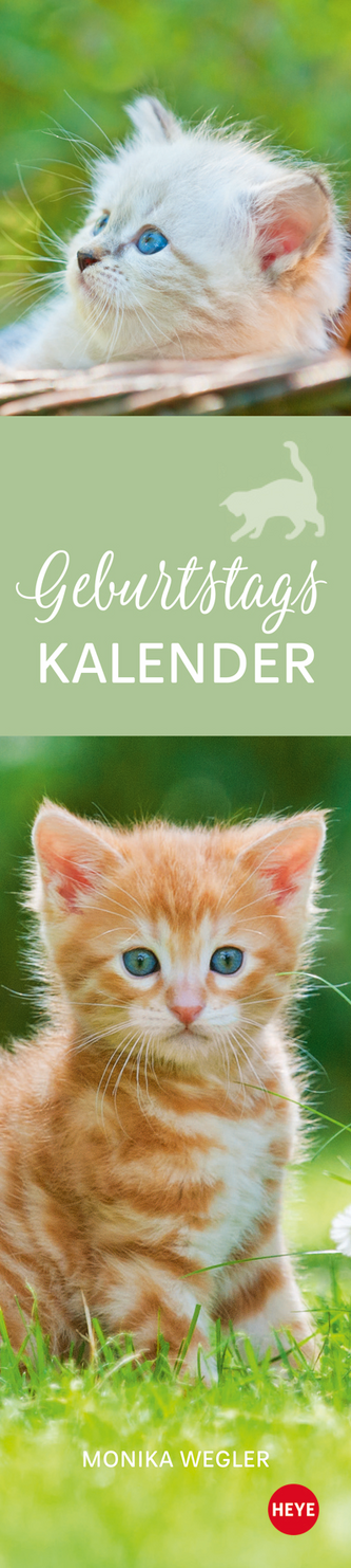 Katzen Geburtstagskalender (immerwärend)