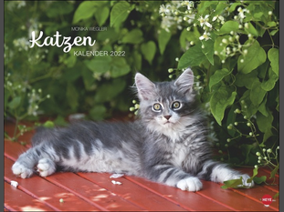 Monika Wegler Katzenkalender 2022