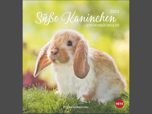 Süße Kaninchen Postkartenkalender 2022