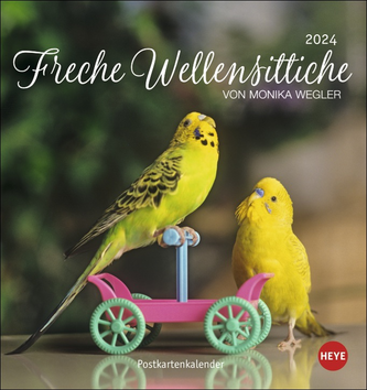 Freche Wellensittiche Postkartenkalender 2024