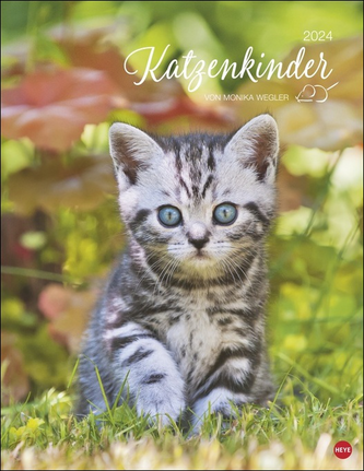 Katzenkinder Posterkalender 2024