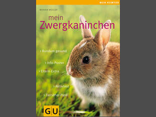 Mein Zwergkaninchen