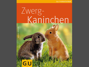 Zwergkaninchen