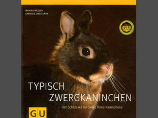 Typisch Zwergkaninchen
