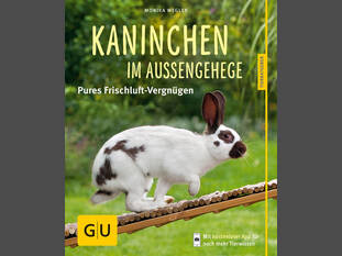 Kaninchen im Außengehege