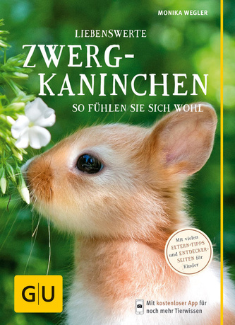 Liebenswerte Zwergkaninchen