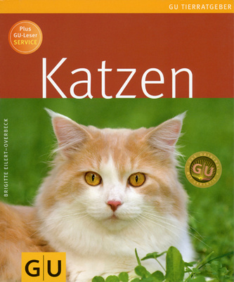 Katzen