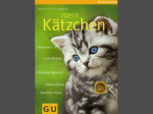 Mein Kätzchen