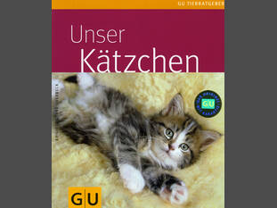 Unser Kätzchen
